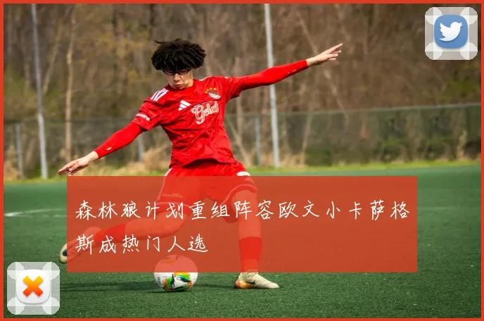 森林狼计划重组阵容欧文小卡萨格斯成热门人选